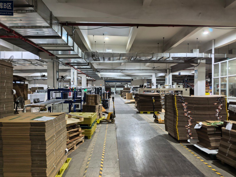 IMG20251117164914 IMG20251117164914